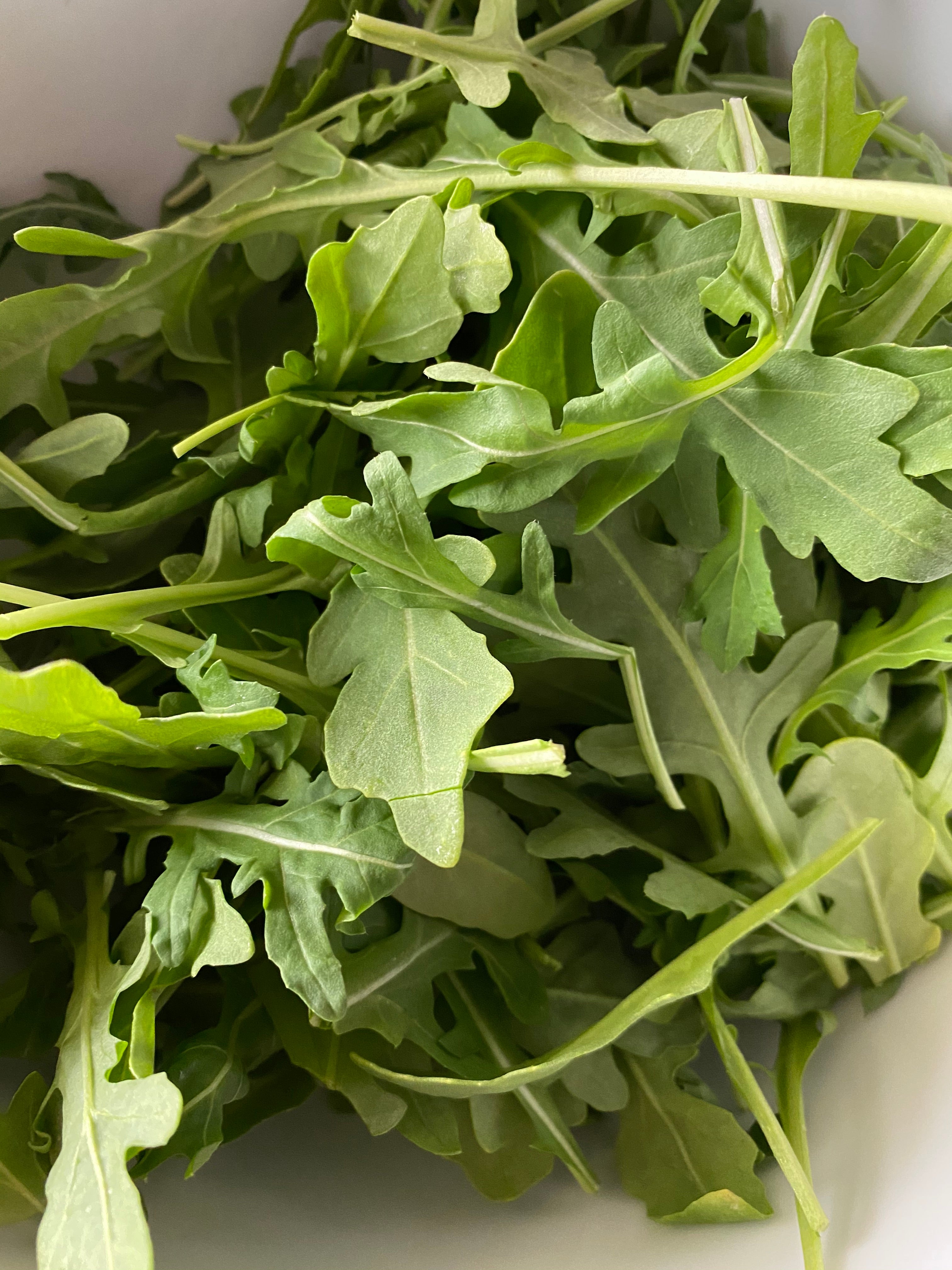Organic Arugula Roquette Herb Seeds for Sale