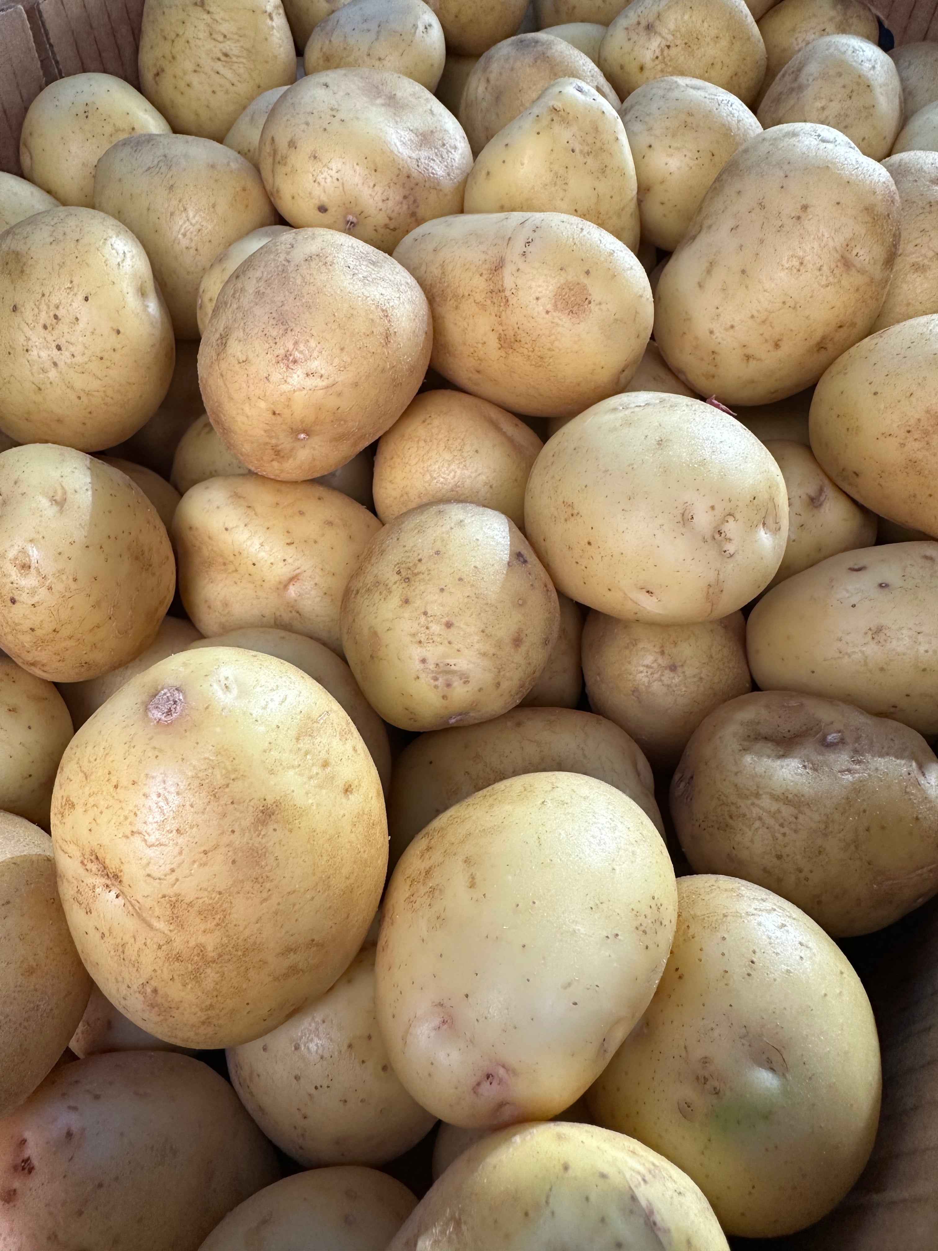 Organic Purple Potatoes, 1 lb, From Our Farmers