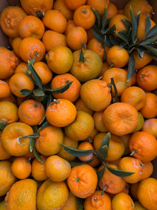 Kishu Mandarin from Murray Family Farms 2lbs certified organic