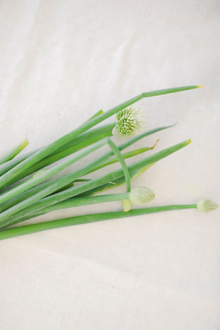 Scallions from HER Produce