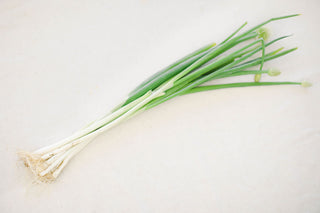 Scallions from HER Produce