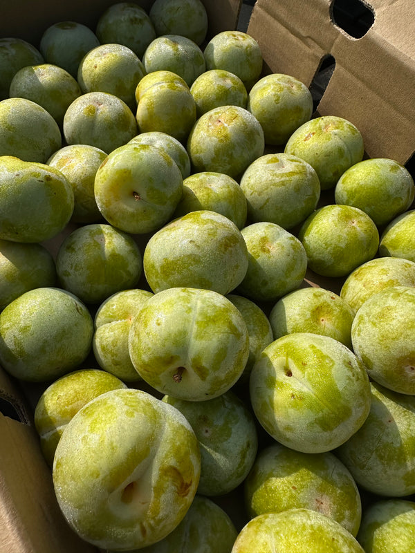 Organic Green Plum from Ken’s Top Notch - 2lbs