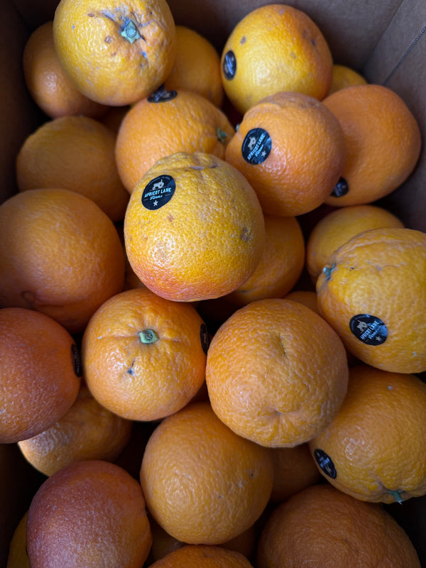 Organic Moro Blood Oranges from Apricot Lane Farms 2lbs