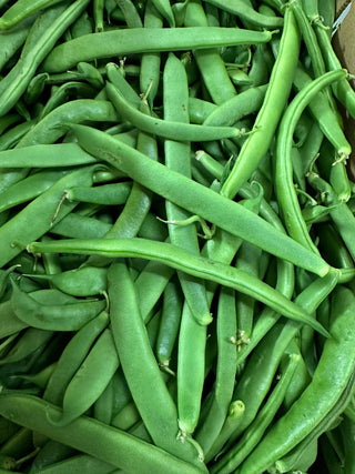 Italian Flat Beans from Wong Farms 1 pound