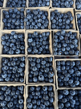 Blueberries from Tamai Family Farms - 2 half pints