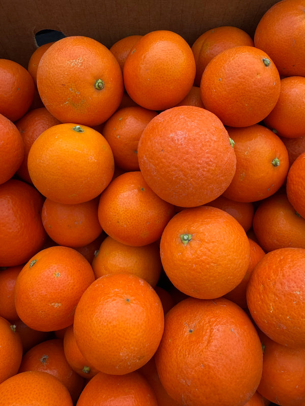 Organic Page Mandarin from Apricot Lane Farms 2lbs certified biodynamic