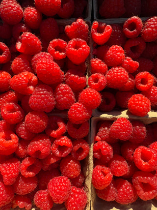 Raspberries from Tamai Family Farms - 2 half pints