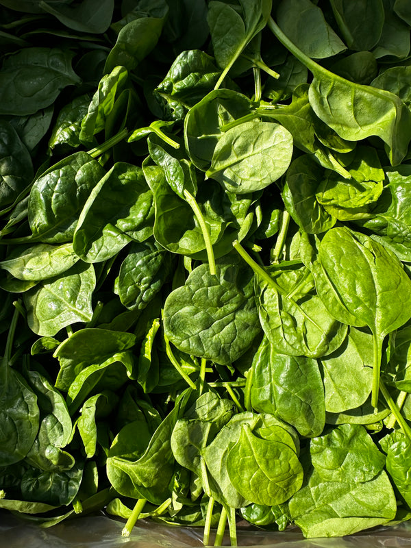 Organic Baby Spinach from Kenter Canyon