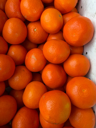 Organic Daisy Mandarines from Ken’s Top Notch 2lbs