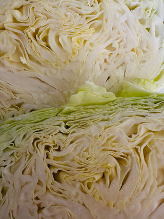 Organic Taiwanese Cabbage from Yao Cheng Farm 1 unit