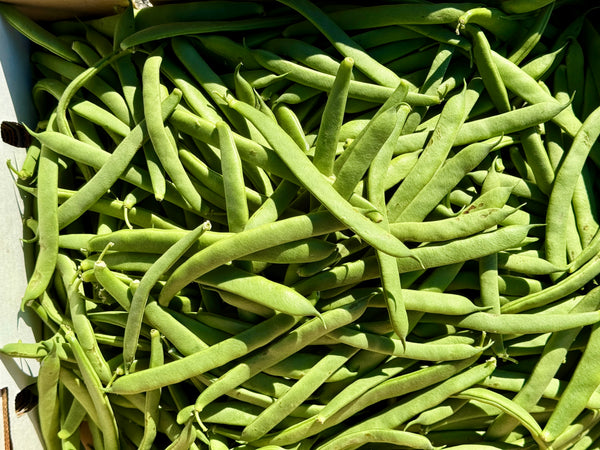 Italian Flat Beans from Wong Farms 1 pound