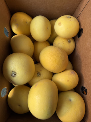 Organic Oro Blanco from Apricot Lane Farms - 2lbs