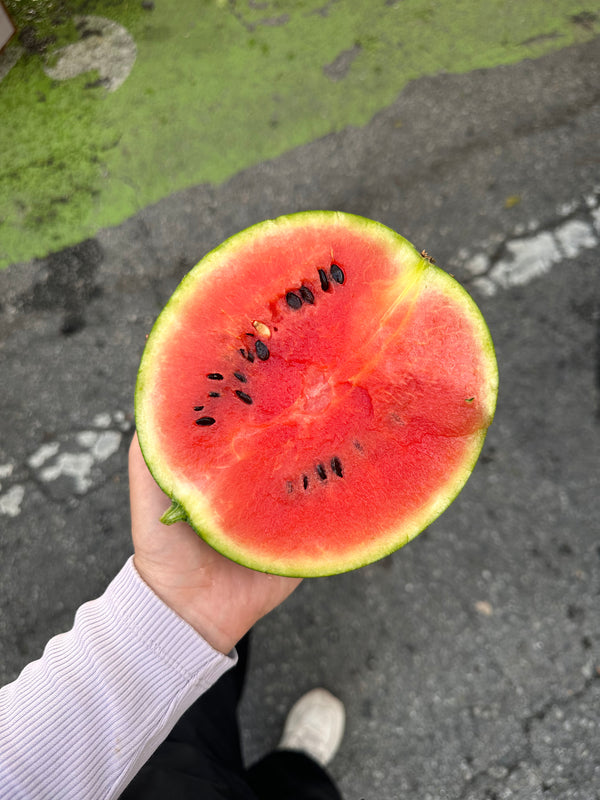 Dark Belle Watermelon from Weiser Family Farms - sold per unit