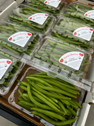 French Green Beans from Harry’s Berries 1lb Certified Organic