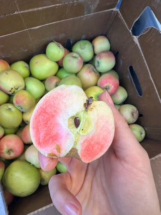 Pink Blush Apples Organic from Tutti Frutti - 2lbs