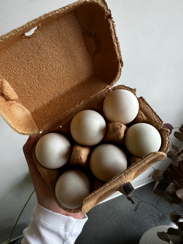 Duck Eggs from Apricot Lane Farms / half dozen