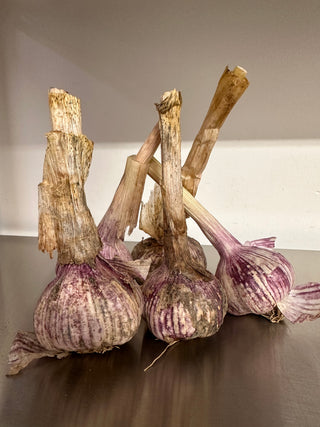 Garlic from Windrose Farms - sold by 2 units