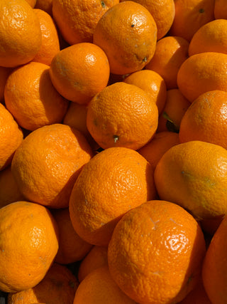 Organic Satsuma Mandarines from Apricot Lane Farms 2lbs certified organic and biodyanmic