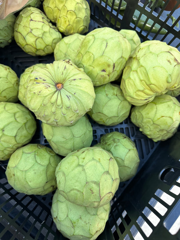 Organic Cherimoya from Apricot Lane Farms 2lbs