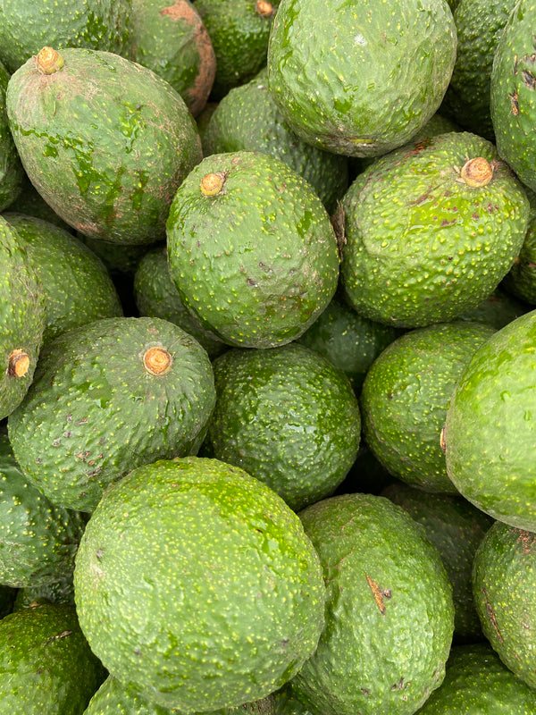 Organic Avocados from Frecker Farms - 2lbs