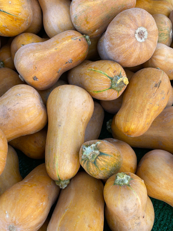 Honeynut Squash from Weiser Family Farms - 2lb