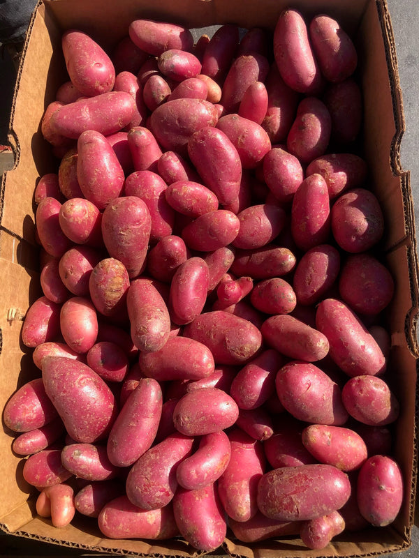 Round Yellow Potatoes from Weiser Family Farms 2lbs