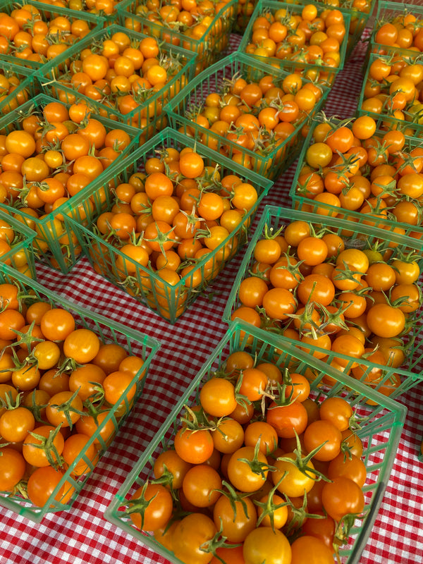 Sungold Tomatoes from Munak Ranch