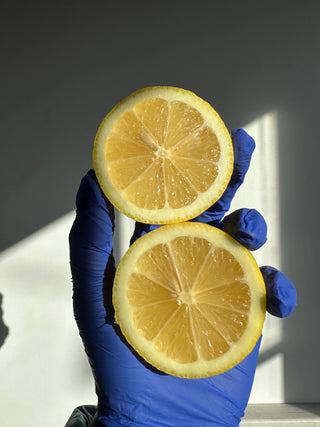 Organic Lisbon Lemon from Murray Family Farms certified organic sold by 1lb