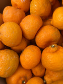 Kishu Mandarin from Murray Family Farms 2lbs certified organic