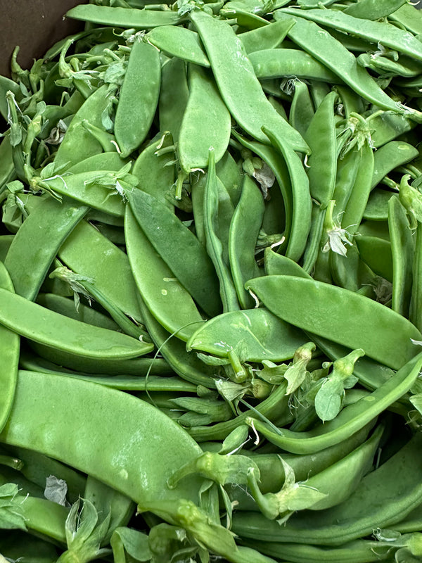 Snow Peas from Tutti Frutti 1lb Certified Organic