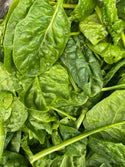 Organic Spinach from Garden Of - Certified Organic