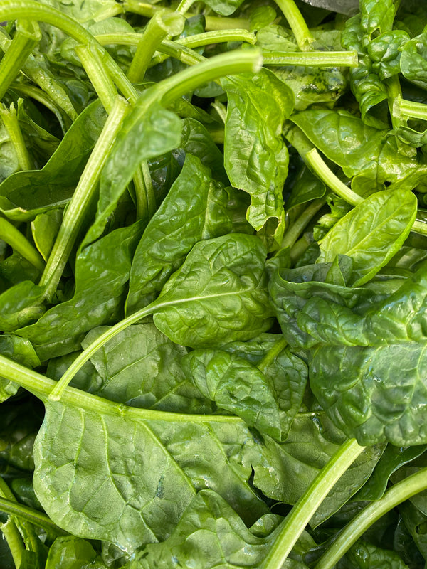 Organic Spinach from Garden Of - Certified Organic