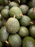 Organic Avocados from Frecker Farms - 2lbs