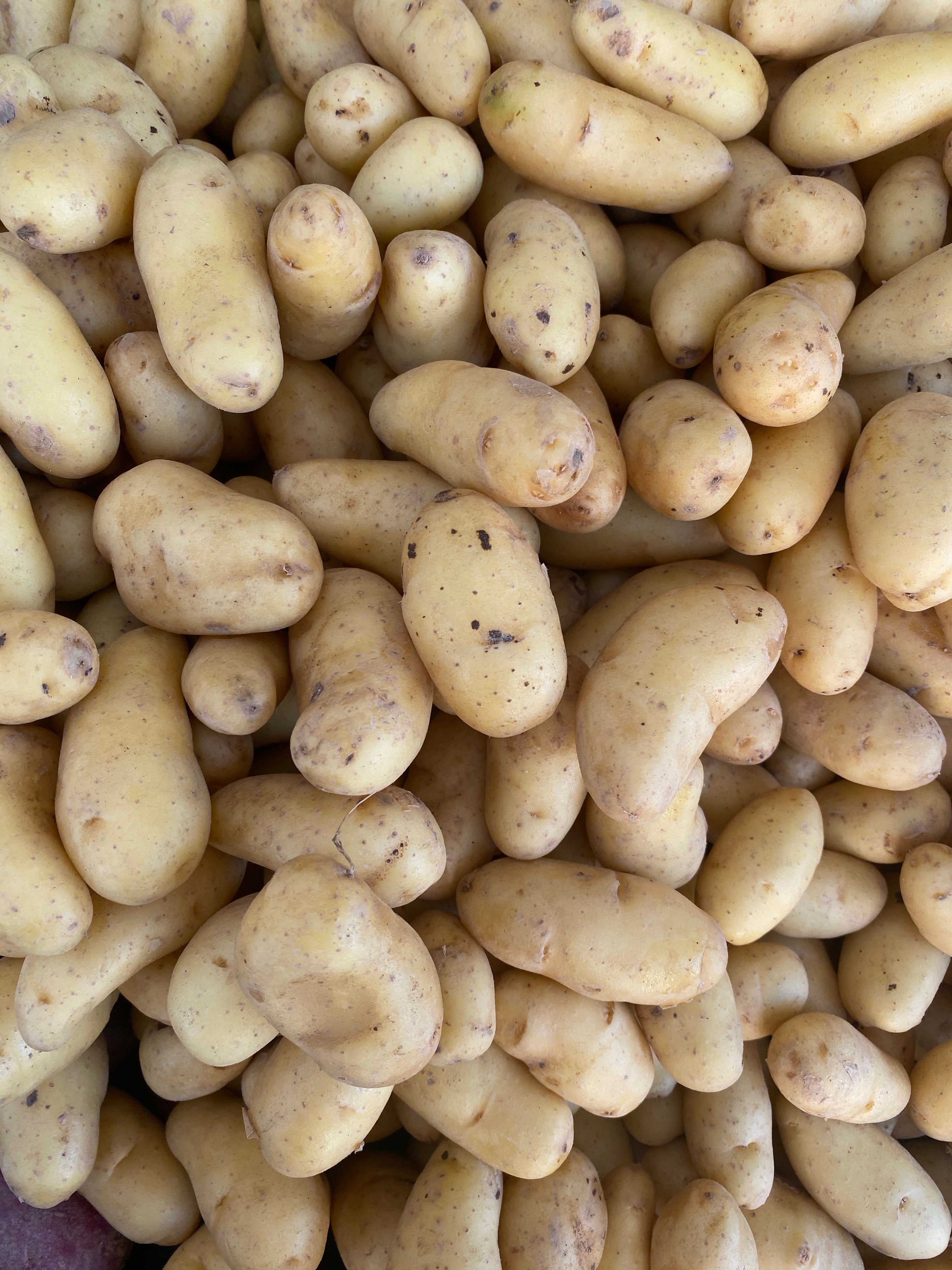 Round Yellow Potatoes from Weiser Family Farms 2lbs